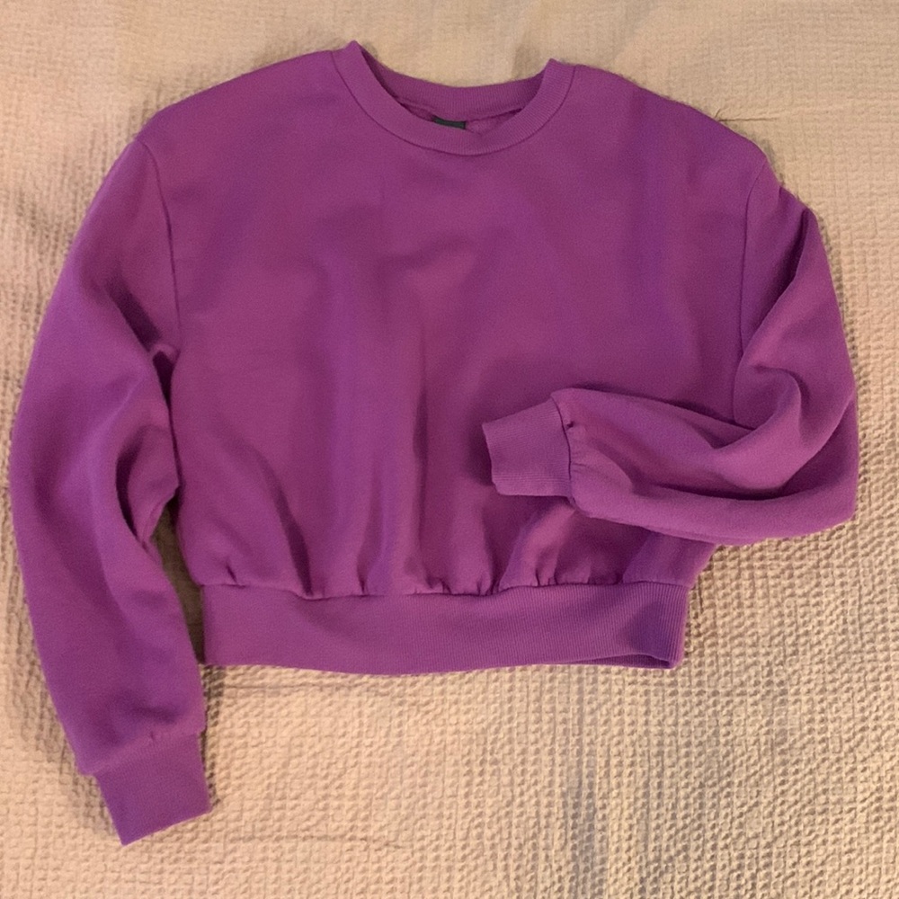 Wild Fable cropped purple crewneck